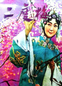 亚洲a v网站
